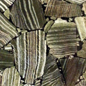 Yeşil zebra tahtası